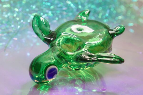 Pipa Tortuga