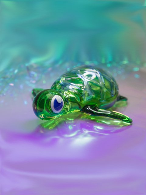 Pipa Tortuga