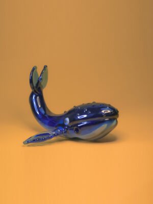 Pipa Ballena