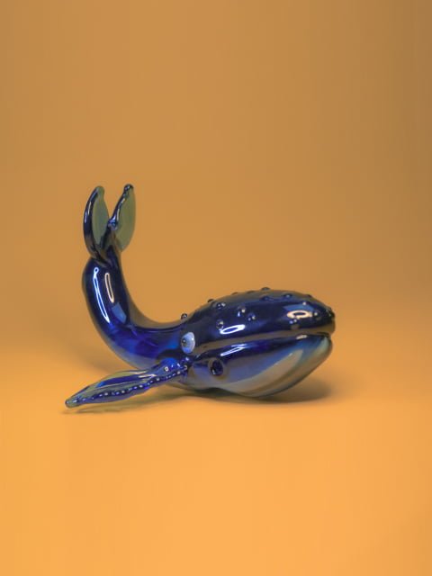 Pipa Ballena