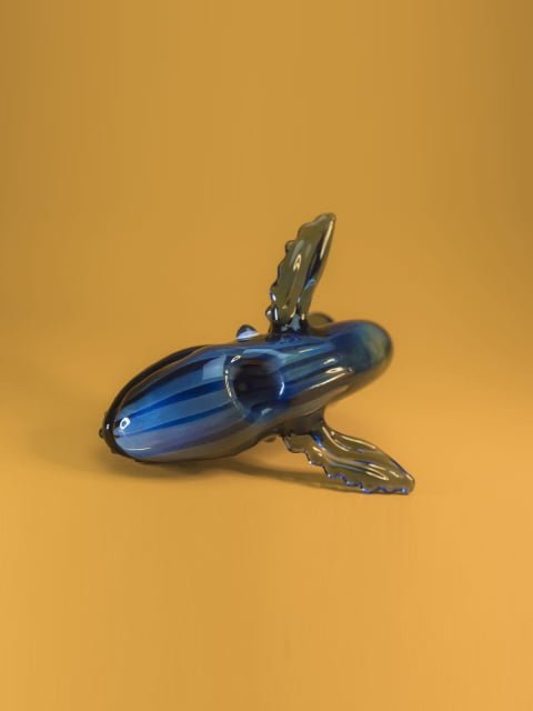 Pipa Ballena